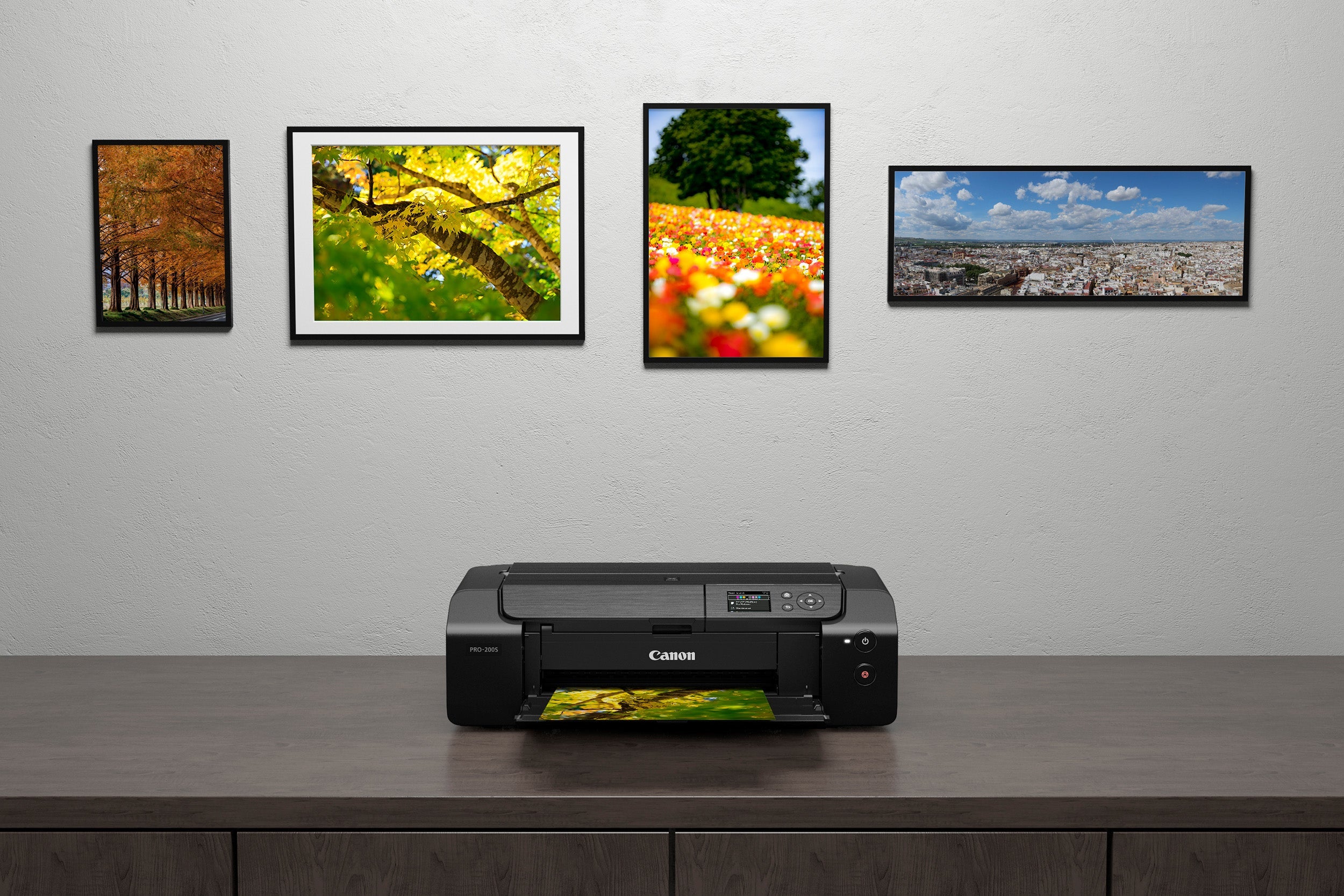 Canon PIXMA PRO 200S Printer